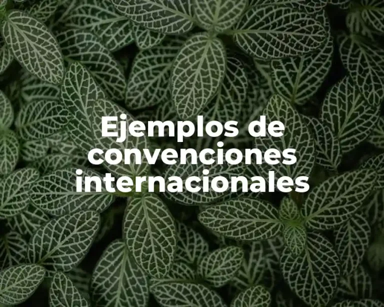 Ejemplos de convenciones internacionales
