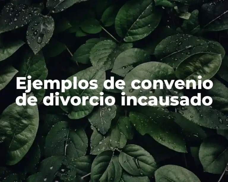 Ejemplos de convenio de divorcio incausado
