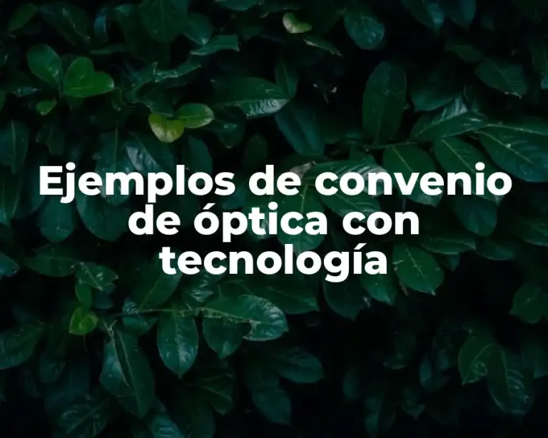 Ejemplos de convenio de óptica con tecnología