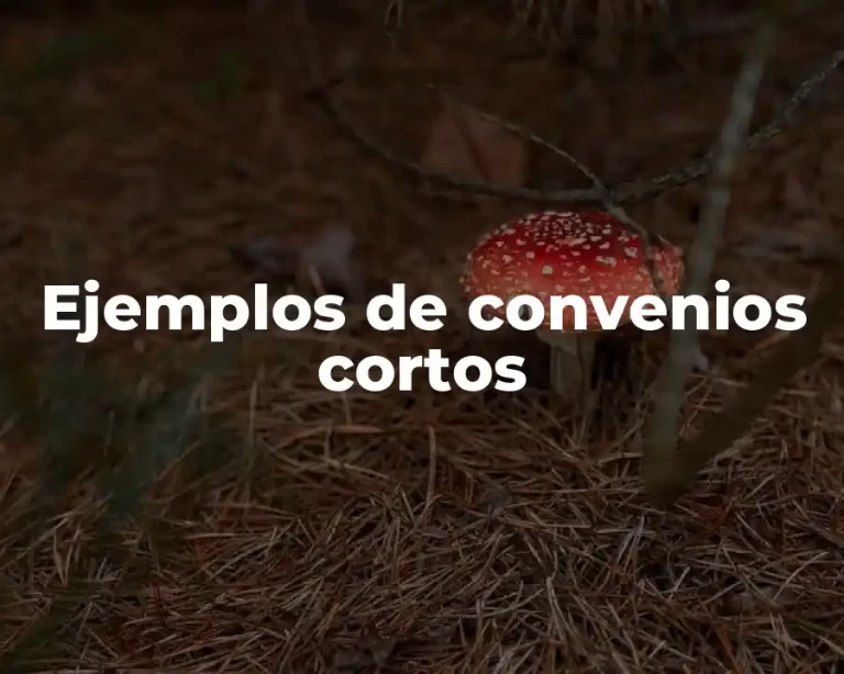 Ejemplos de convenios cortos