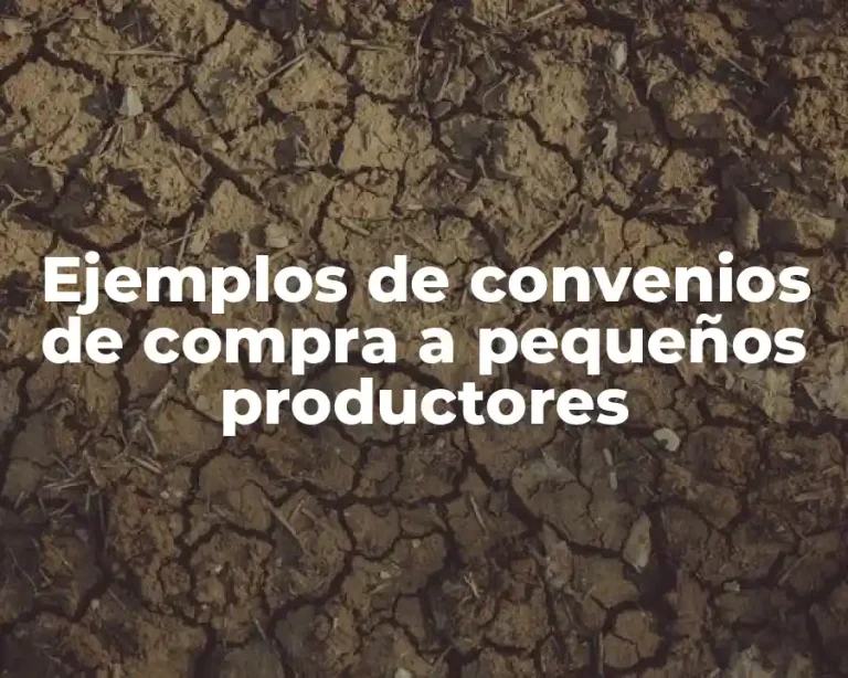 Ejemplos de convenios de compra a pequeños productores