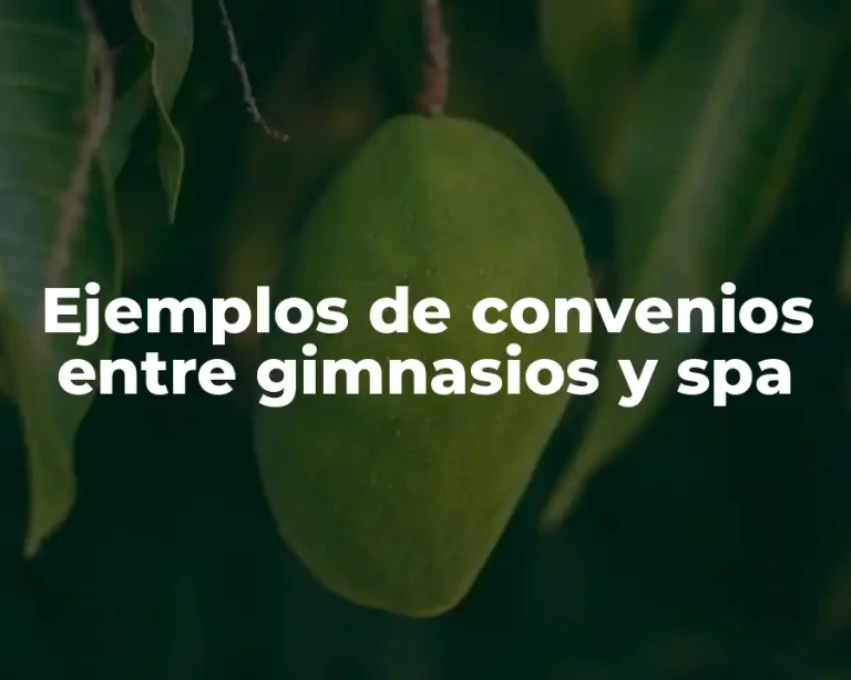 Ejemplos de convenios entre gimnasios y spa