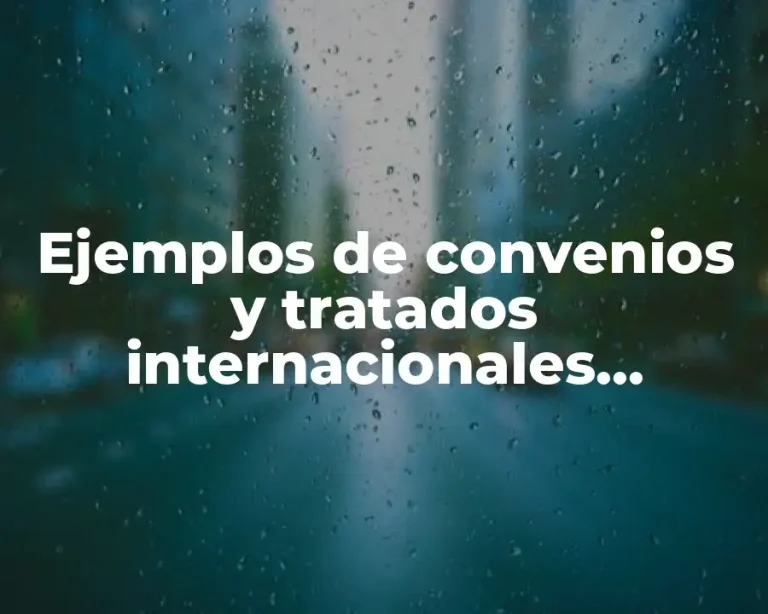 Ejemplos de convenios y tratados internacionales consulares y Significado