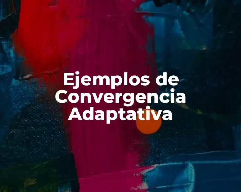 Ejemplos de Convergencia Adaptativa