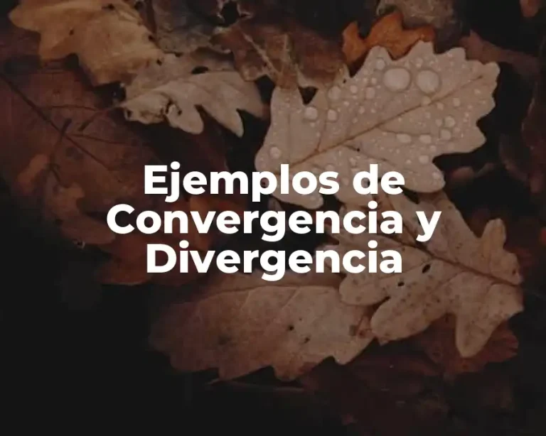 Ejemplos de Convergencia y Divergencia