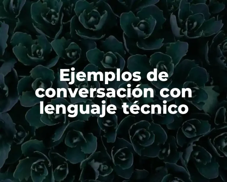 Ejemplos de conversación con lenguaje técnico