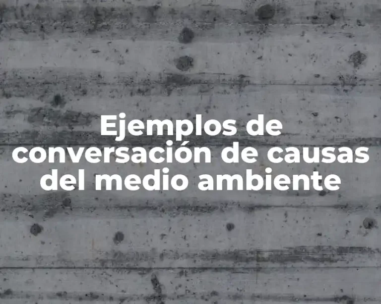 Ejemplos de conversación de causas del medio ambiente