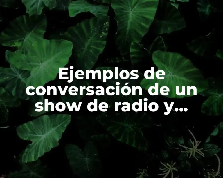 Ejemplos de conversación de un show de radio y Significado
