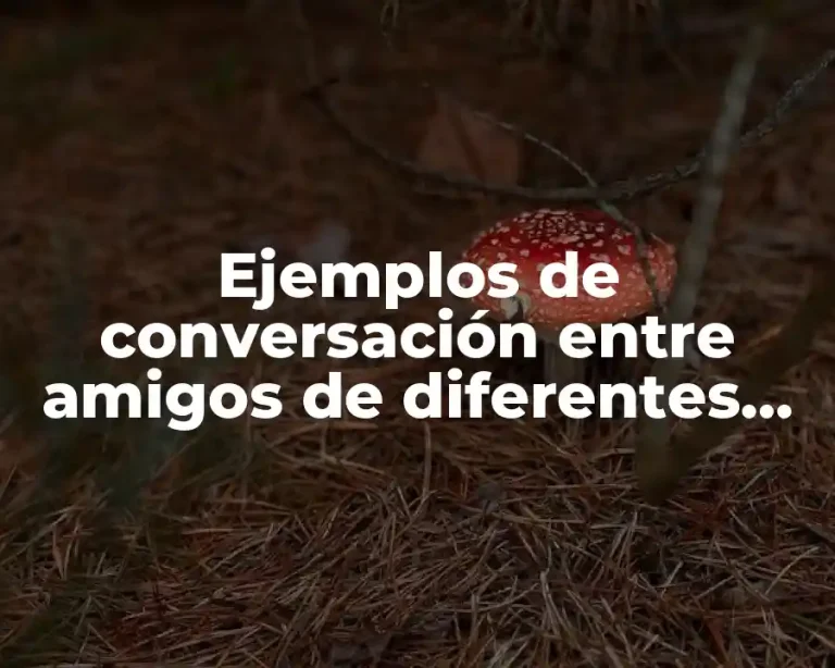 Ejemplos de conversación entre amigos de diferentes países