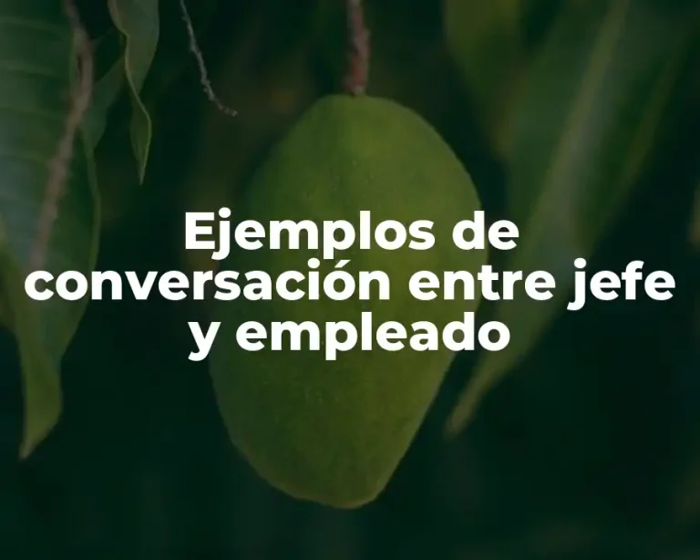 Ejemplos de conversación entre jefe y empleado