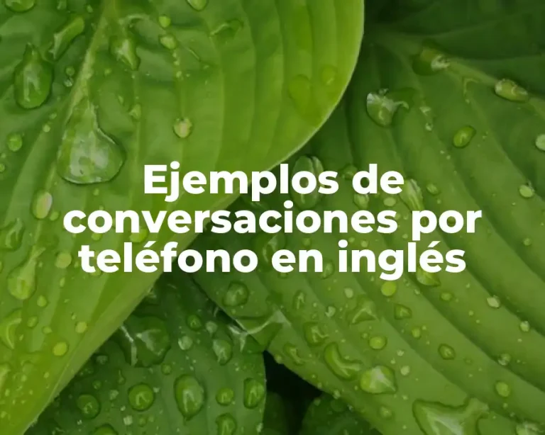 Ejemplos de conversaciones por teléfono en inglés