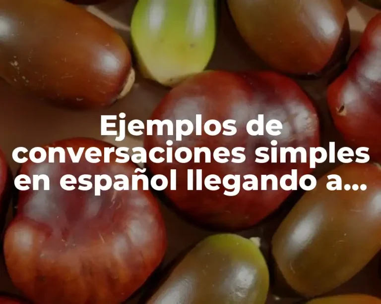 Ejemplos de conversaciones simples en español llegando a un hotel