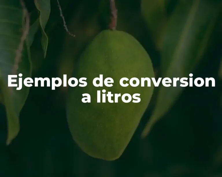 Ejemplos de conversion a litros