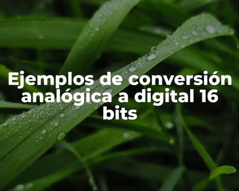 Ejemplos de conversión analógica a digital 16 bits