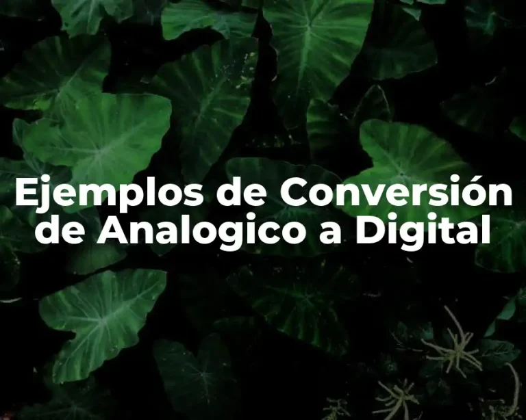 Ejemplos de Conversión de Analogico a Digital