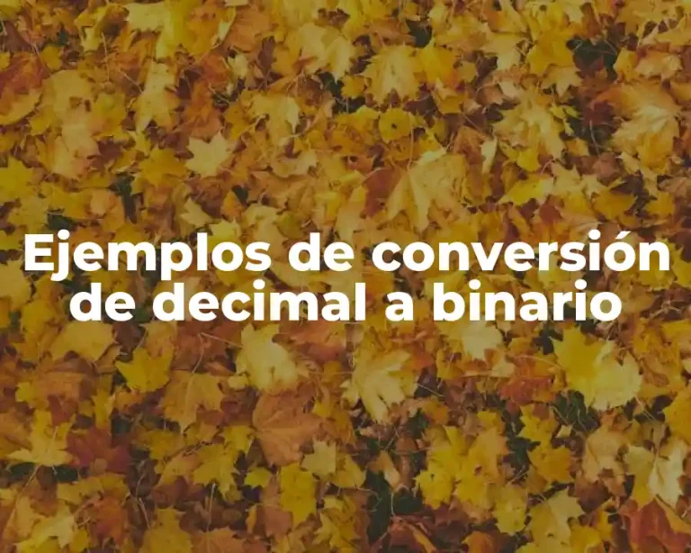 Ejemplos de conversión de decimal a binario