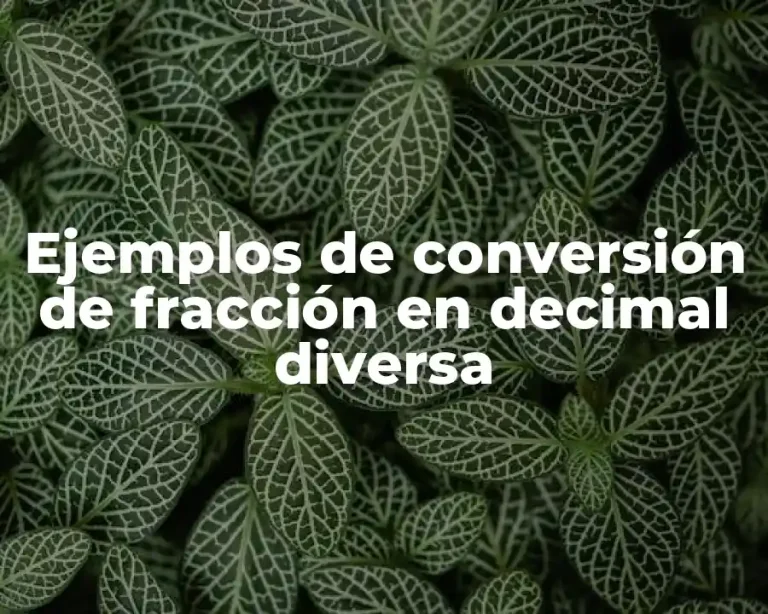 Ejemplos de conversión de fracción en decimal diversa