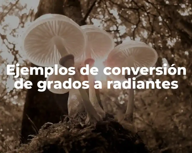 Ejemplos de conversión de grados a radiantes