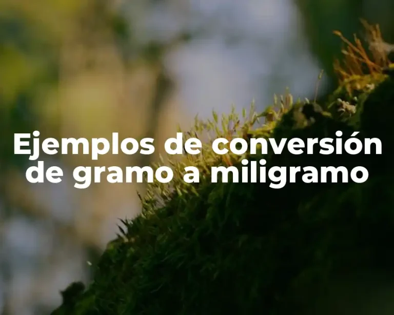 Ejemplos de conversión de gramo a miligramo