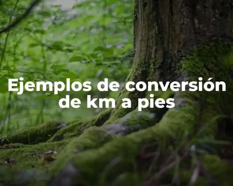Ejemplos de conversión de km a pies