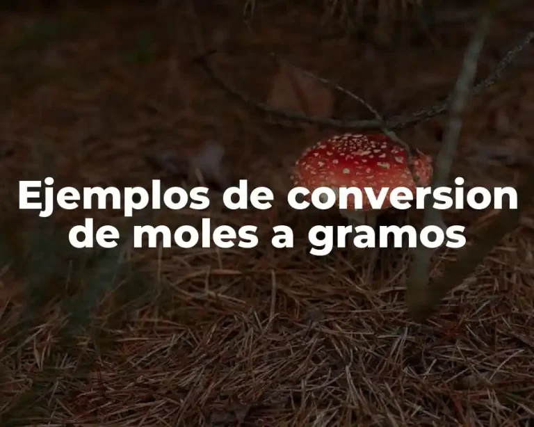 Ejemplos de conversion de moles a gramos