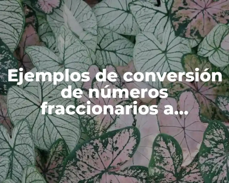 Ejemplos de conversión de números fraccionarios a decimales y viceversa