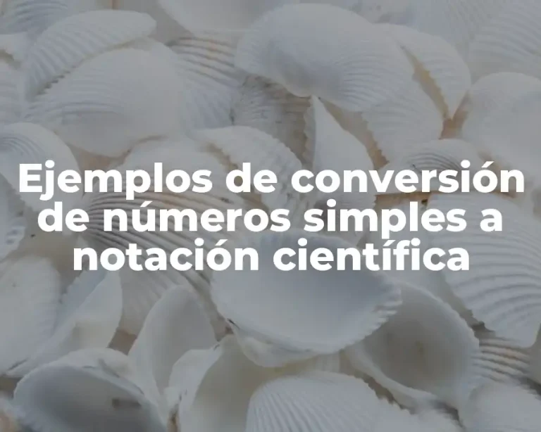 Ejemplos de conversión de números simples a notación científica