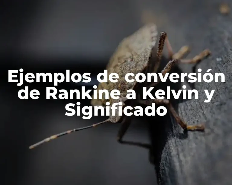 Ejemplos de conversión de Rankine a Kelvin y Significado