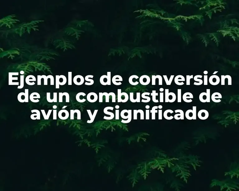 Ejemplos de conversión de un combustible de avión y Significado