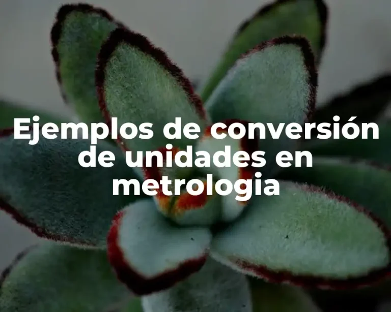 Ejemplos de conversión de unidades en metrologia