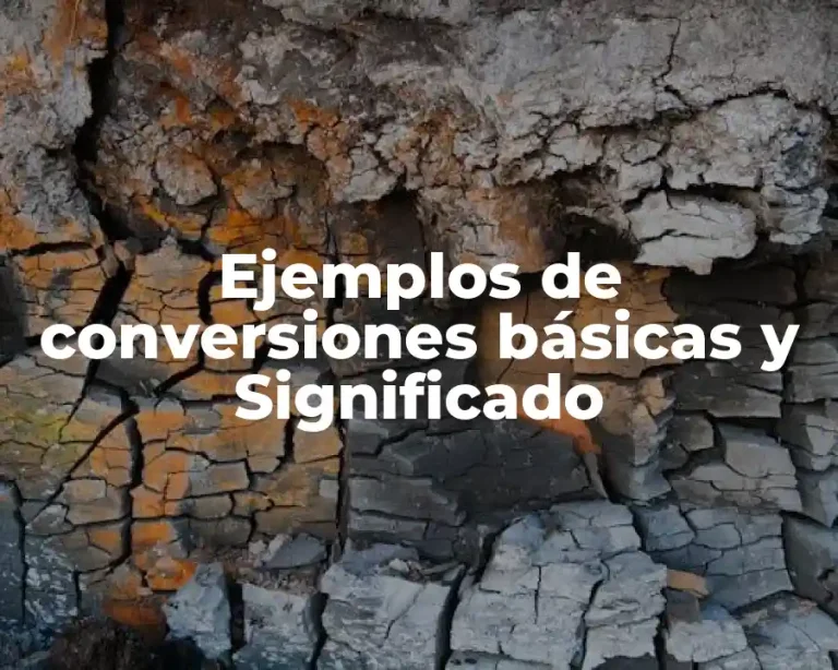 Ejemplos de conversiones básicas y Significado