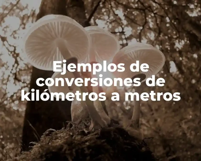 Ejemplos de conversiones de kilómetros a metros