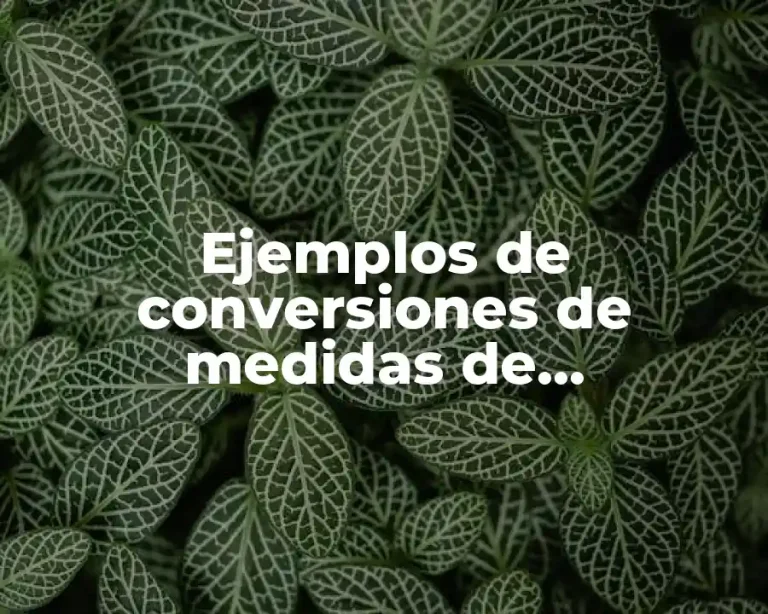 Ejemplos de conversiones de medidas de información