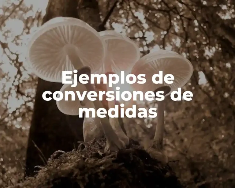 Ejemplos de conversiones de medidas