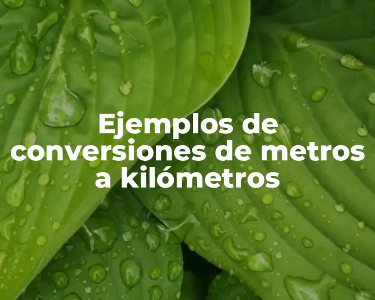 Ejemplos de conversiones de metros a kilómetros