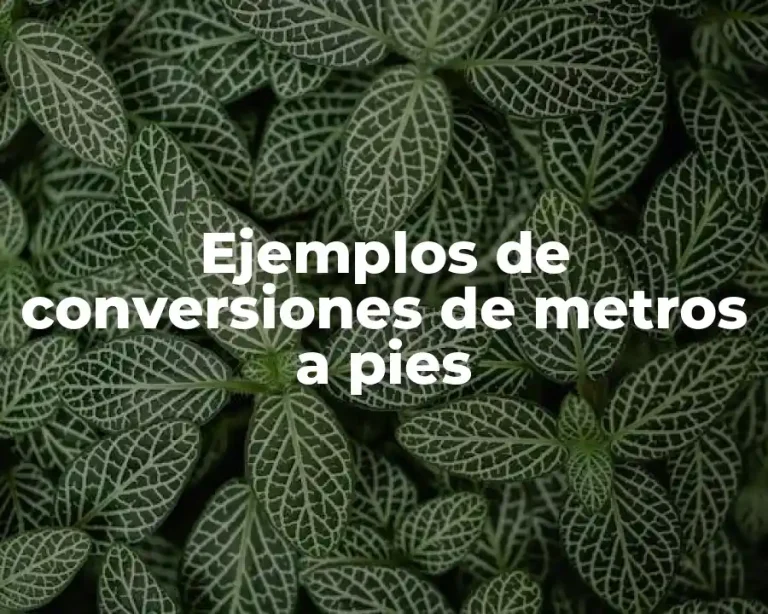 Ejemplos de conversiones de metros a pies