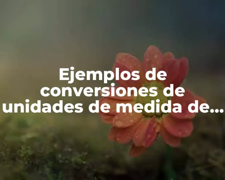 Ejemplos de conversiones de unidades de medida de almacenamiento