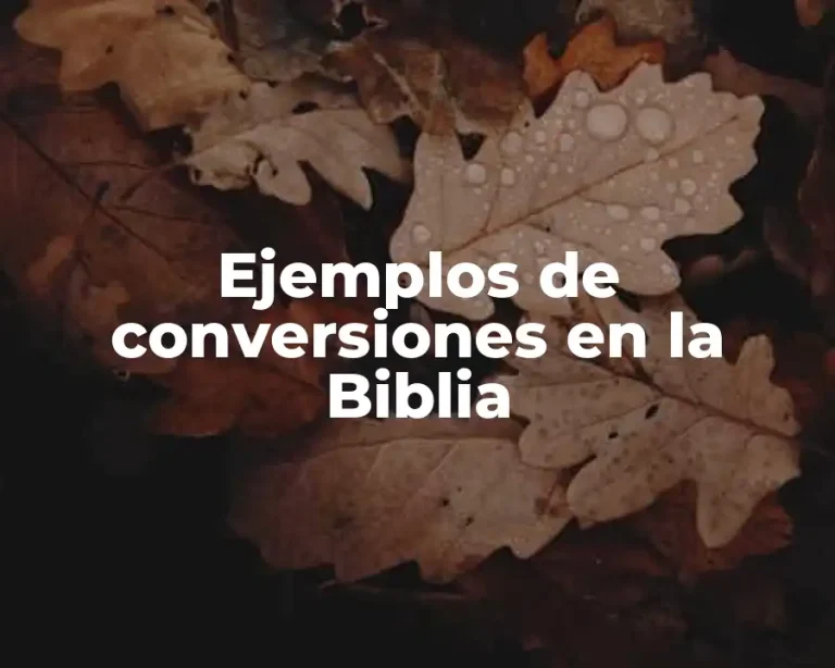 Ejemplos de conversiones en la Biblia