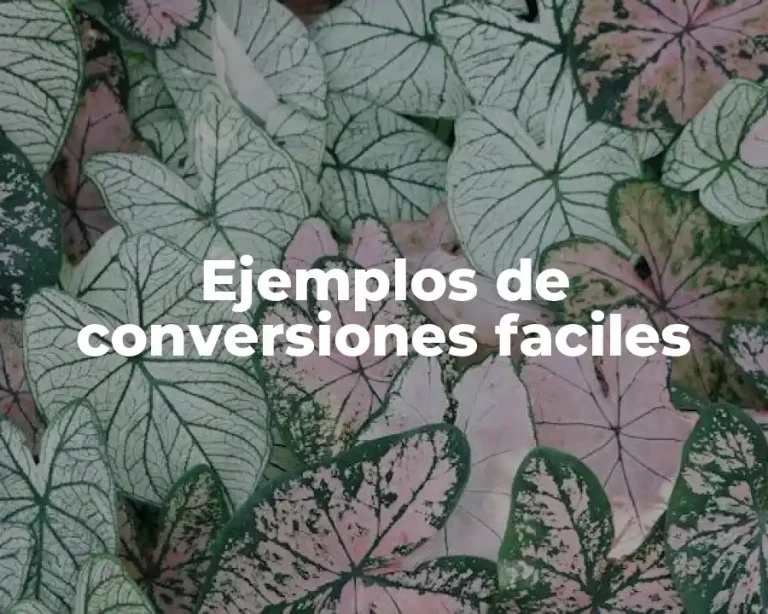Ejemplos de conversiones faciles