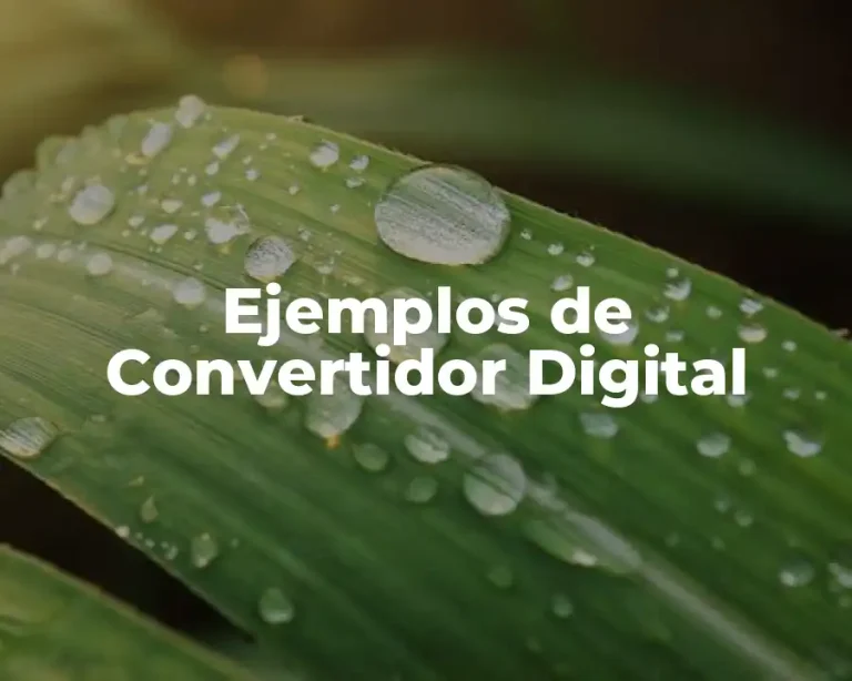 Ejemplos de Convertidor Digital