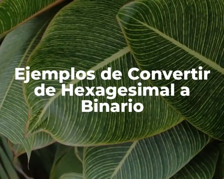 Ejemplos de Convertir de Hexagesimal a Binario