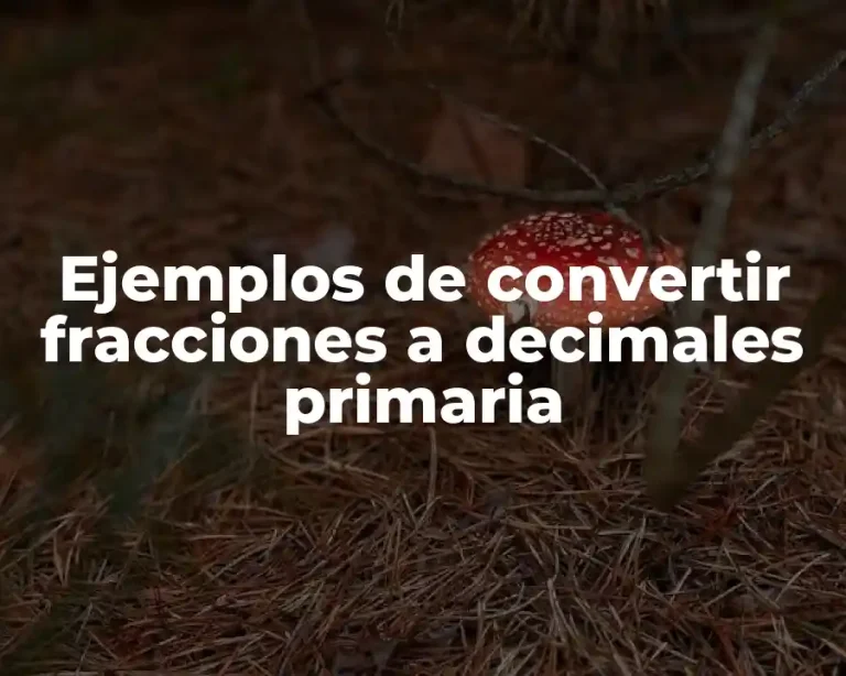 Ejemplos de convertir fracciones a decimales primaria