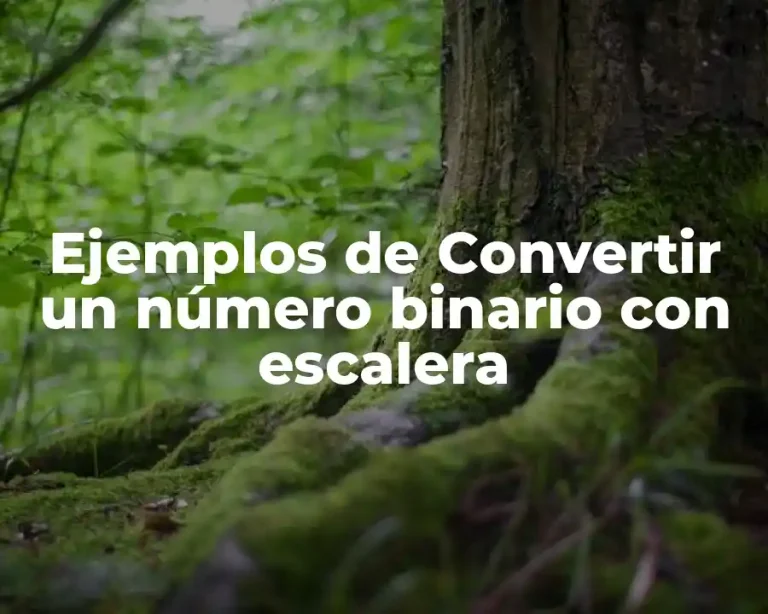 Ejemplos de Convertir un número binario con escalera
