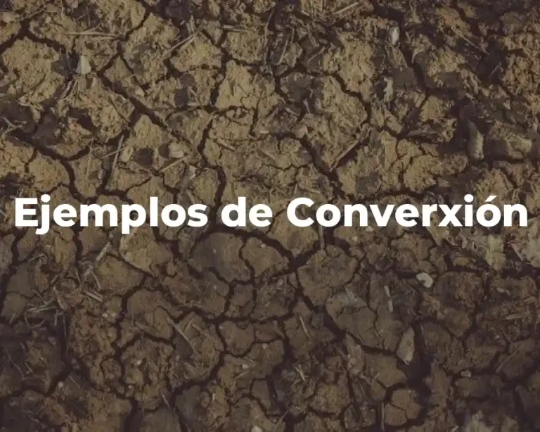 Ejemplos de Converxión