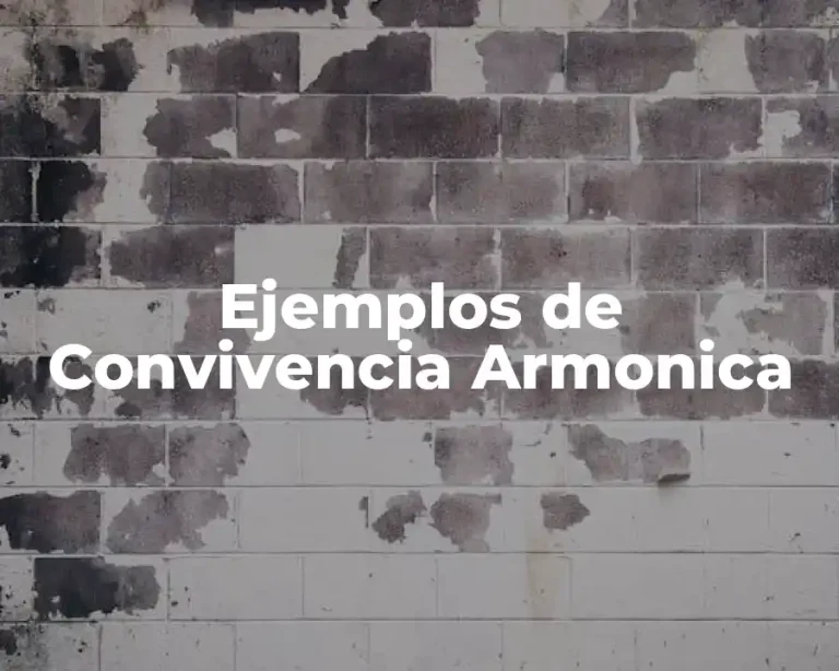 Ejemplos de Convivencia Armonica