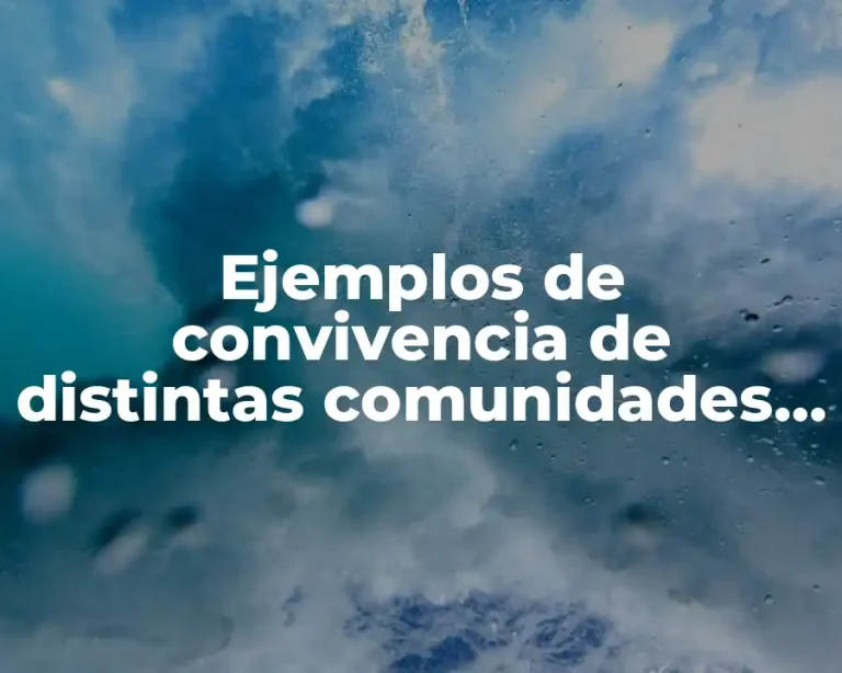 Ejemplos de convivencia de distintas comunidades y culturas y Significado
