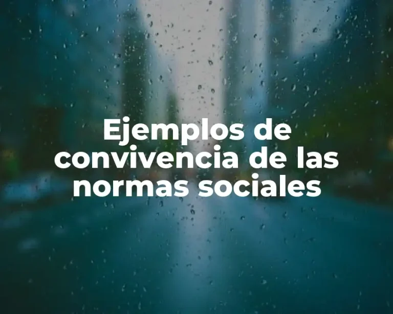 Ejemplos de convivencia de las normas sociales
