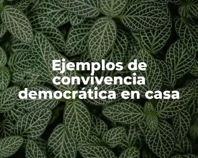 Ejemplos de convivencia democrática en casa