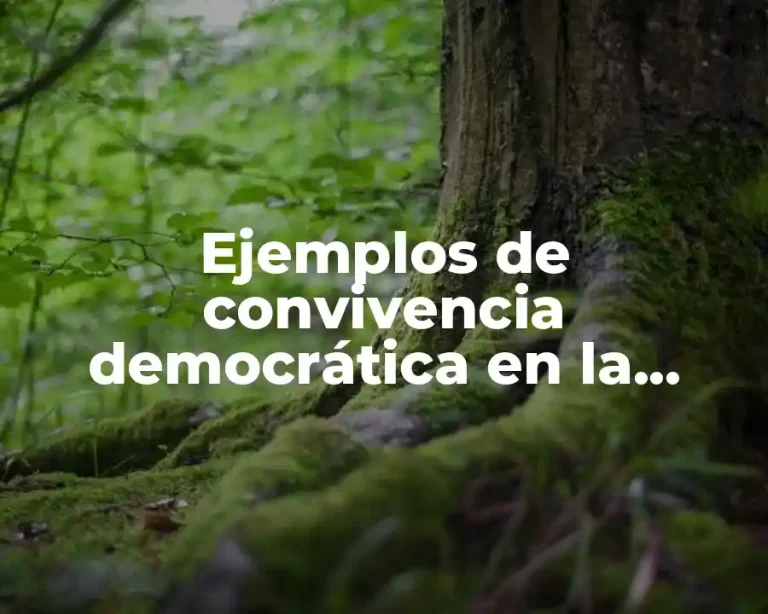 Ejemplos de convivencia democrática en la familia