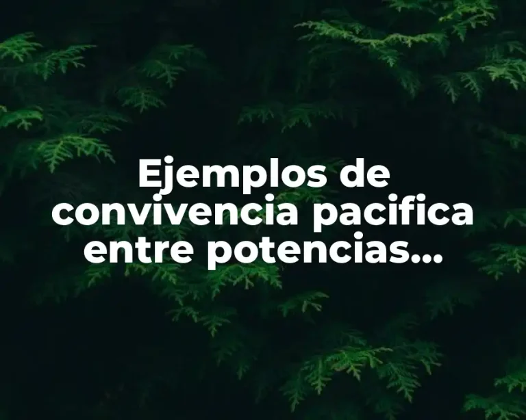 Ejemplos de convivencia pacifica entre potencias mundiales y emergentes